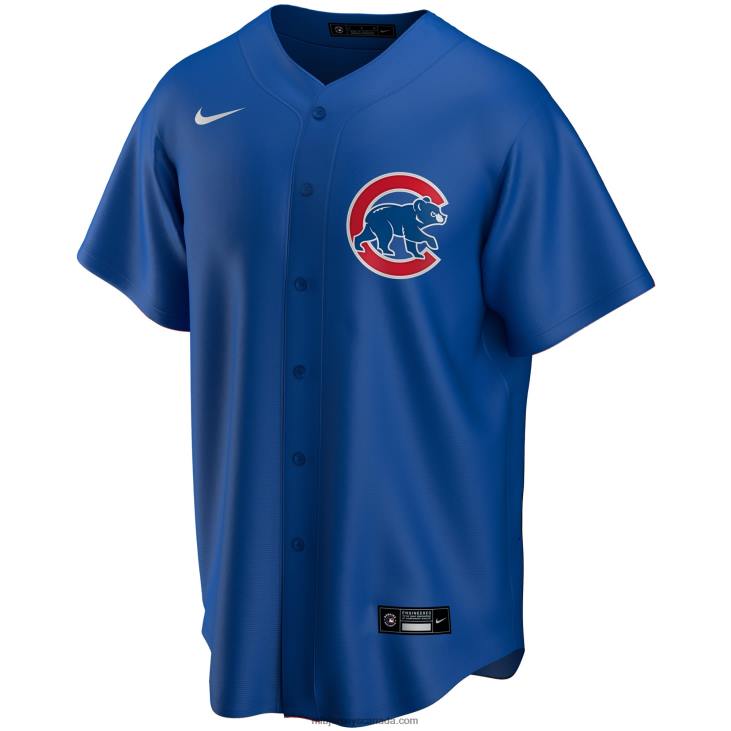 Youth Chicago Cubs Nike Royal Alternate Replica Team Jersey MLB Jerseys 6P0T1521