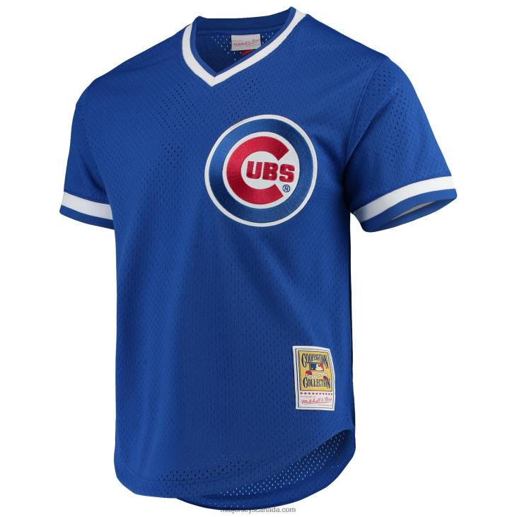 Men Chicago Cubs Andre Dawson Mitchell & Ness Royal Cooperstown Collection Mesh Batting Practice Jersey MLB Jerseys 6P0T1200
